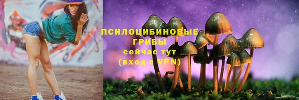 винт Алзамай
