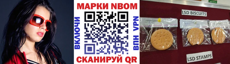 Марки N-bome 1,8мг  купить  сайты  ссылка на мегу онион  Венёв 