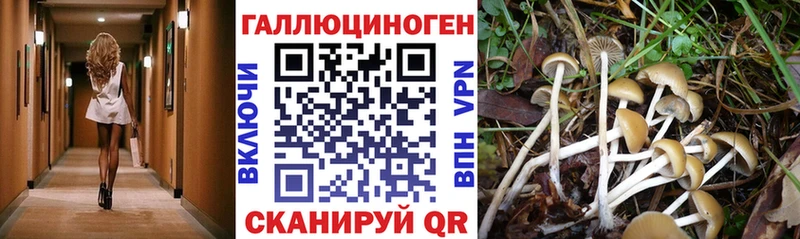 Галлюциногенные грибы Magic Shrooms Венёв