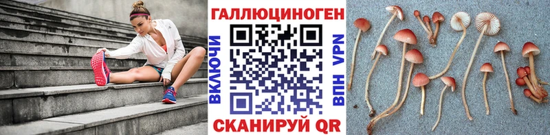 даркнет сайт  Венёв  Псилоцибиновые грибы Psilocybine cubensis 